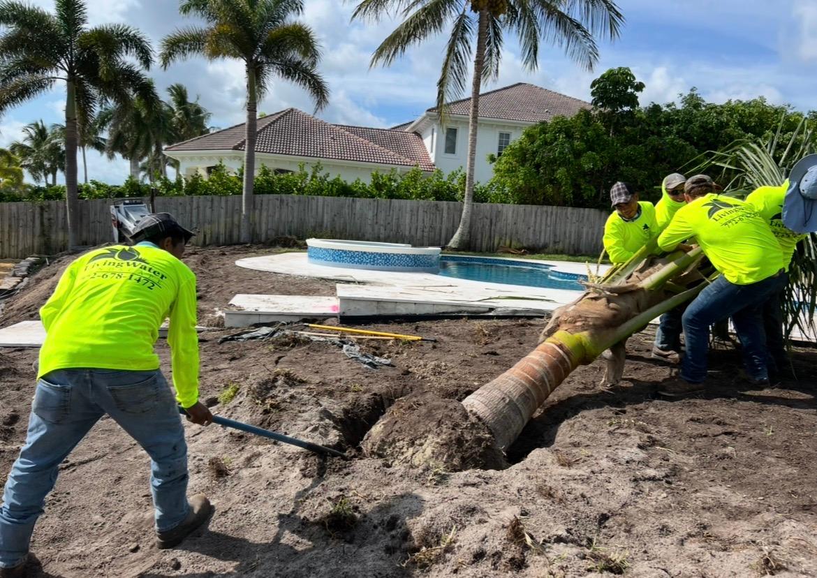 Lawn under irrigation coverage