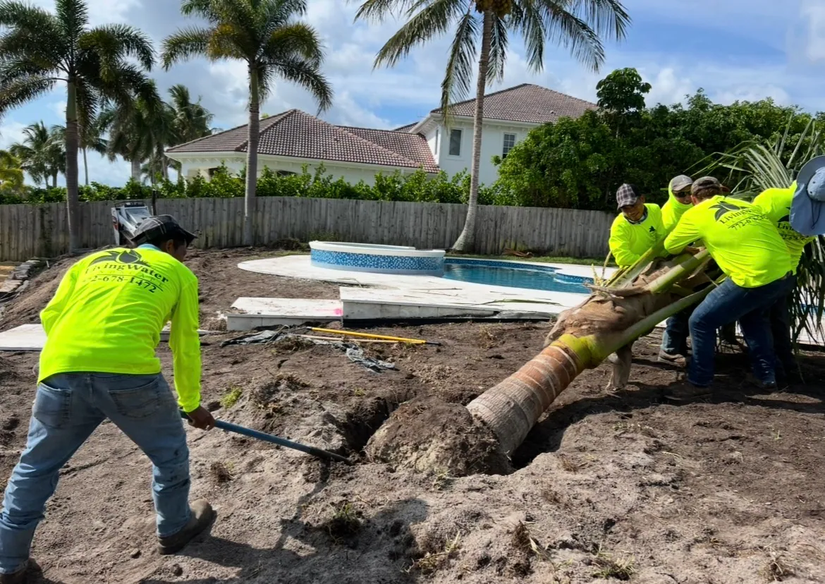 Lawn and landscape bed under irrigation coverage