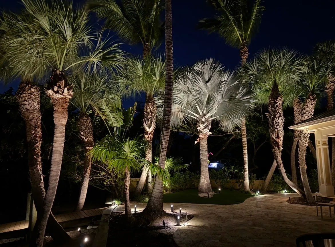 Lush residential lawn surrounded by mature palms and travertine hardscape