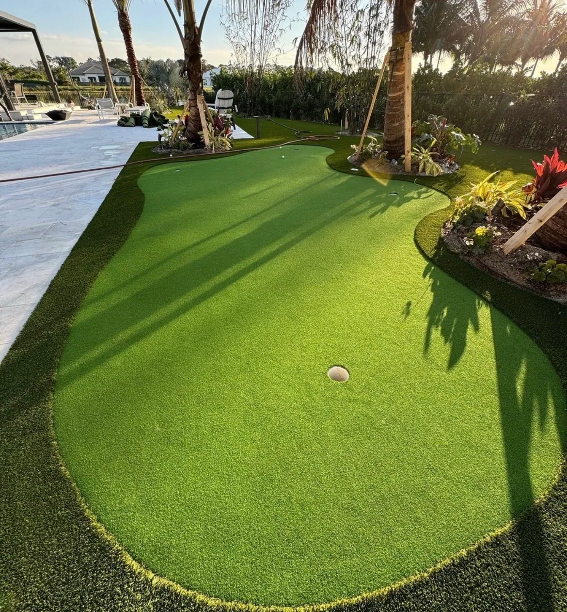 Mature palm installation along a residential walkway